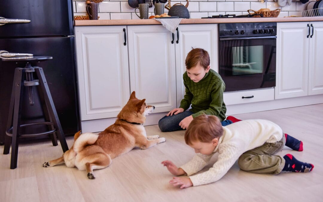 kids playing with their dog on the floor