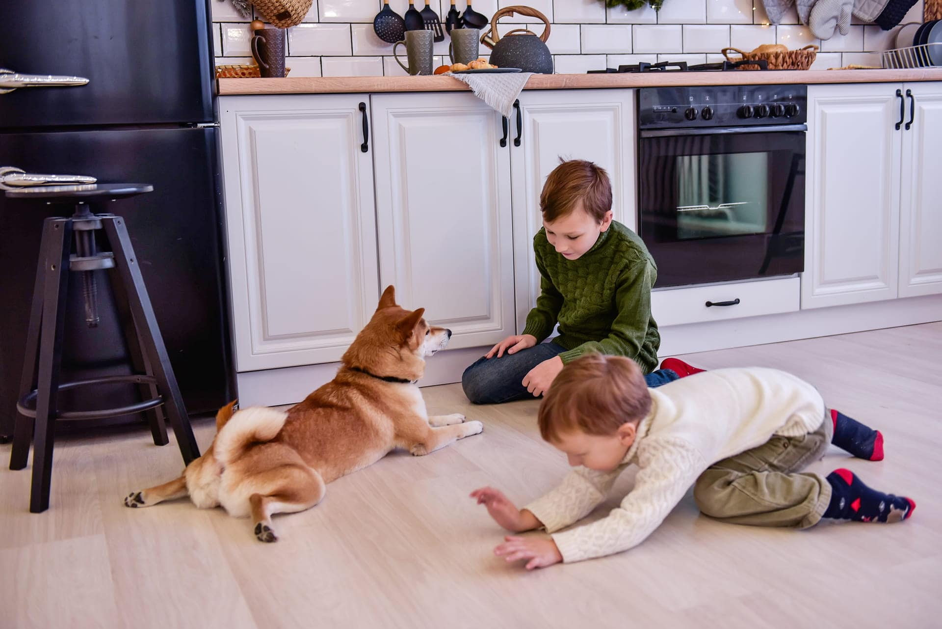 kids playing with their dog on the floor